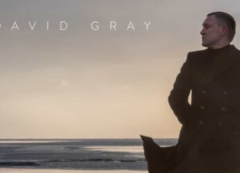 David Gray Dublin Concert