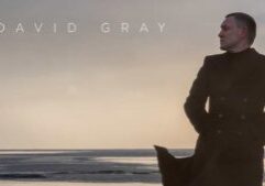 David Gray Dublin Concert